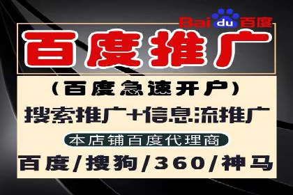 SEM投放策略：成功案例解析